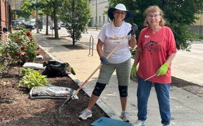 Community Spirit Shines: 20 Volunteers Join Cleanup Effort
