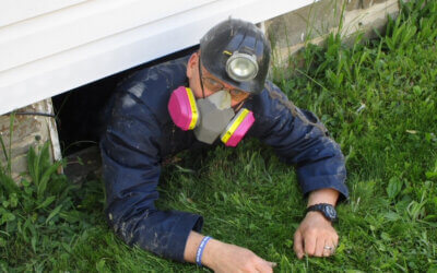 Summer Volunteer Spotlight