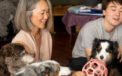 Story 3: The Evolution of the Homeownership Program